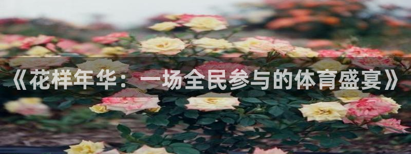 米兰体育官网入口：《花样年华：一场全民参与的体育盛宴》