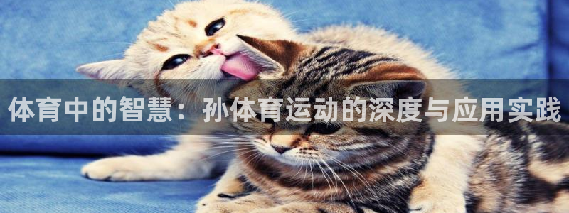 米兰体育在线：体育中的智慧：孙体育运动的深度与应用实践