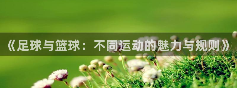 米兰体育综合官网：《足球与篮球：不同运动的魅力与规则》