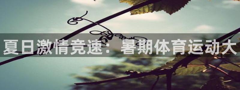 米兰体育官网入口：夏日激情竞速：暑期体育运动大