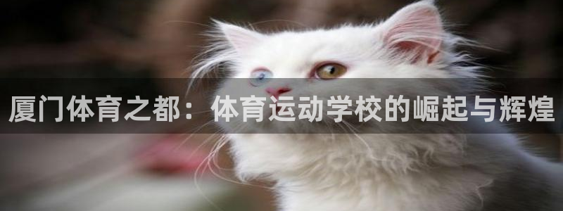 米兰体育登录：厦门体育之都：体育运动学校的崛起与辉煌