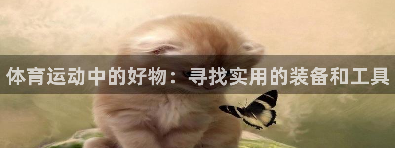 米兰体育报官网：体育运动中的好物：寻找实用的装备和工具